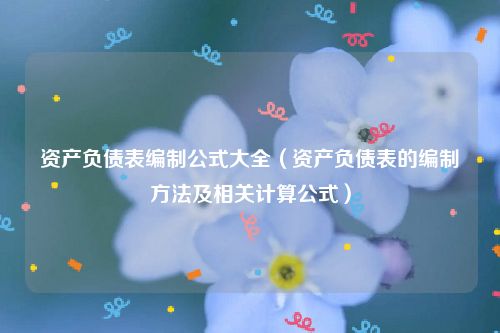 资产负债表编制公式大全（资产负债表的编制方法及相关计算公式）