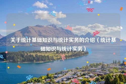 关于统计基础知识与统计实务的介绍（统计基础知识与统计实务）