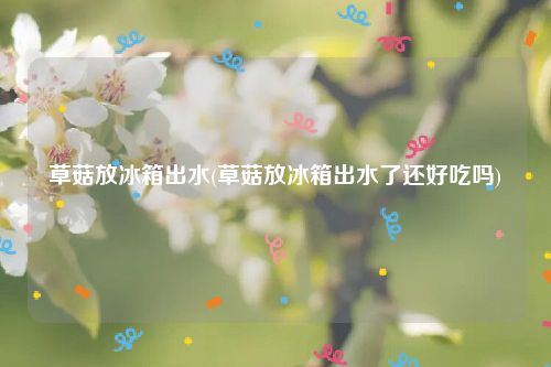 草菇放冰箱出水(草菇放冰箱出水了还好吃吗)