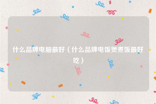 什么品牌电脑最好（什么品牌电饭煲煮饭最好吃）