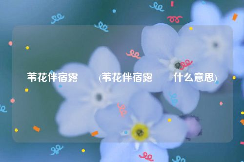 苇花伴宿露瀼瀼(苇花伴宿露瀼瀼什么意思)