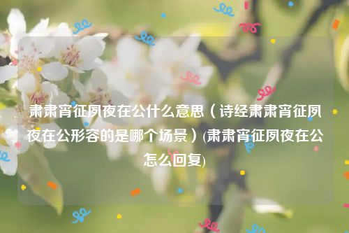 肃肃宵征夙夜在公什么意思（诗经肃肃宵征夙夜在公形容的是哪个场景）(肃肃宵征夙夜在公怎么回复)