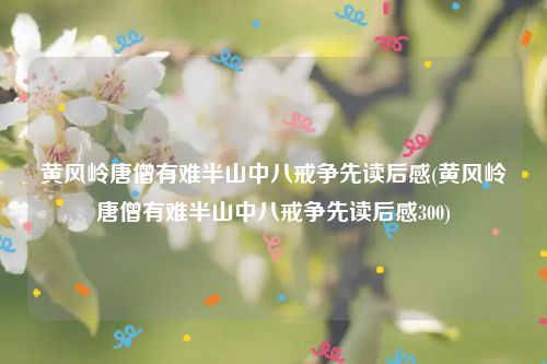 黄风岭唐僧有难半山中八戒争先读后感(黄风岭唐僧有难半山中八戒争先读后感300)