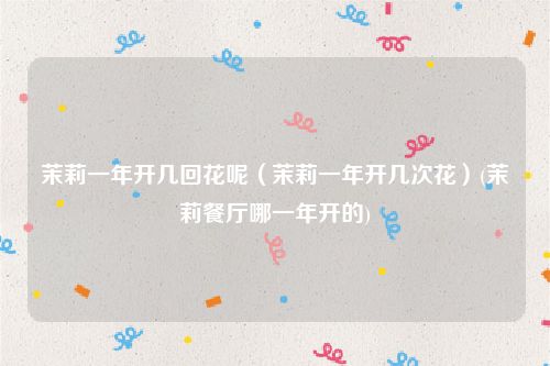 茉莉一年开几回花呢（茉莉一年开几次花）(茉莉餐厅哪一年开的)