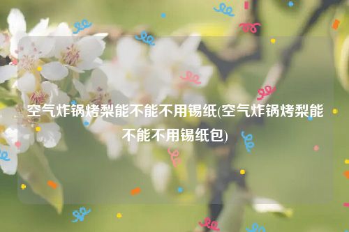 空气炸锅烤梨能不能不用锡纸(空气炸锅烤梨能不能不用锡纸包)