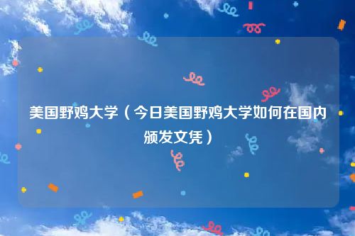美国野鸡大学（今日美国野鸡大学如何在国内颁发文凭）