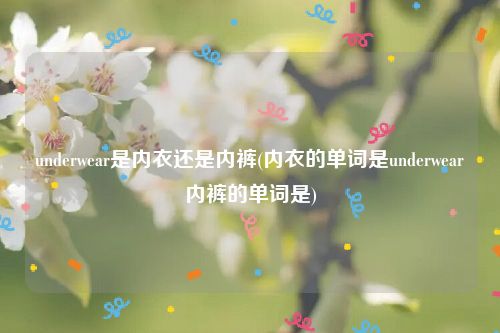 underwear是内衣还是内裤(内衣的单词是underwear内裤的单词是)