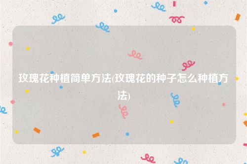 玫瑰花种植简单方法(玫瑰花的种子怎么种植方法)