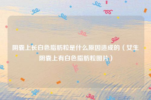 阴囊上长白色脂肪粒是什么原因造成的（女生阴囊上有白色脂肪粒图片）