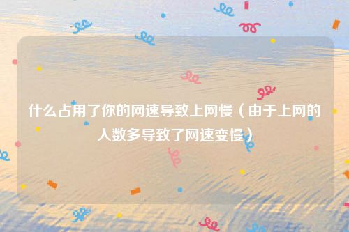 什么占用了你的网速导致上网慢（由于上网的人数多导致了网速变慢）