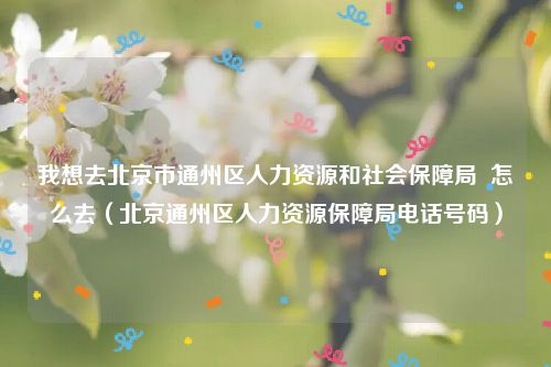 我想去北京市通州区人力资源和社会保障局  怎么去（北京通州区人力资源保障局电话号码）