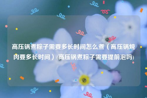 高压锅煮粽子需要多长时间怎么煮（高压锅炖肉要多长时间）(高压锅煮粽子需要提前泡吗)