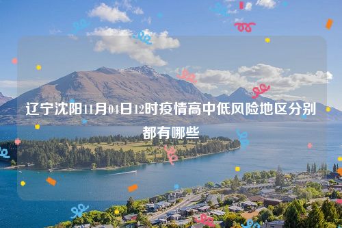 辽宁沈阳11月04日12时疫情高中低风险地区分别都有哪些