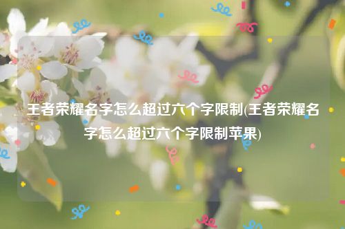 王者荣耀名字怎么超过六个字限制(王者荣耀名字怎么超过六个字限制苹果)
