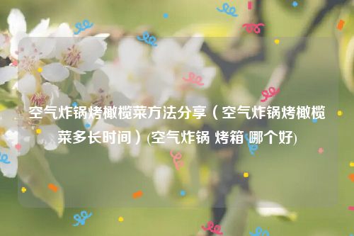 空气炸锅烤橄榄菜方法分享（空气炸锅烤橄榄菜多长时间）(空气炸锅 烤箱 哪个好)