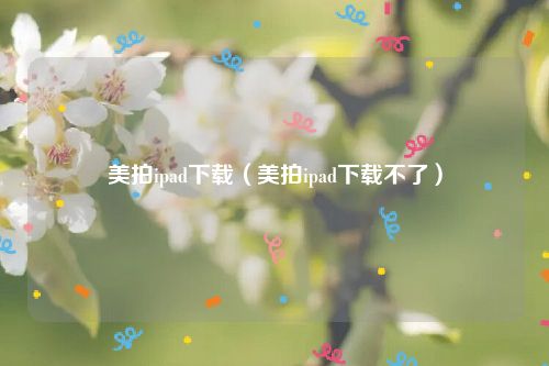 美拍ipad下载（美拍ipad下载不了）