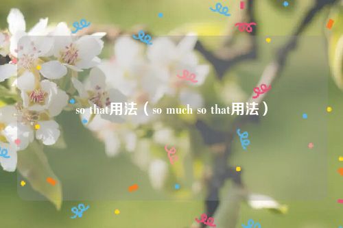 so that用法（so much so that用法）