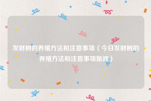 发财树的养殖方法和注意事项（今日发财树的养殖方法和注意事项新闻）