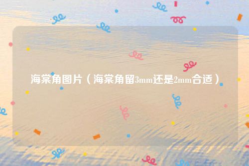 海棠角图片（海棠角留3mm还是2mm合适）