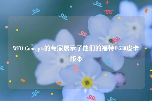 WFO Concepts的专家展示了他们的福特F 550皮卡版本