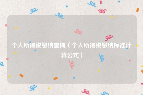 个人所得税缴纳查询（个人所得税缴纳标准计算公式）
