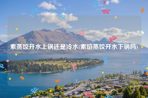素蒸饺开水上锅还是冷水(素馅蒸饺开水下锅吗)