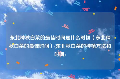 东北种秋白菜的最佳时间是什么时候（东北种秋白菜的最佳时间）(东北秋白菜的种植方法和时间)
