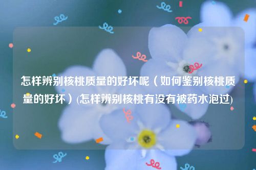 怎样辨别核桃质量的好坏呢（如何鉴别核桃质量的好坏）(怎样辨别核桃有没有被药水泡过)