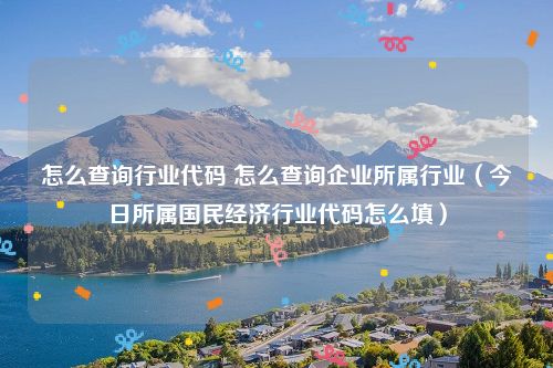 怎么查询行业代码 怎么查询企业所属行业（今日所属国民经济行业代码怎么填）