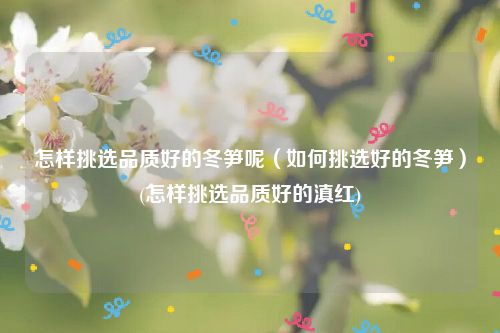 怎样挑选品质好的冬笋呢（如何挑选好的冬笋）(怎样挑选品质好的滇红)