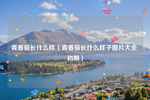 青春痘长什么样（青春痘长什么样子图片大全 初期）