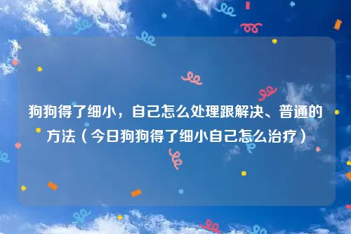 狗狗得了细小，自己怎么处理跟解决、普通的方法（今日狗狗得了细小自己怎么治疗）