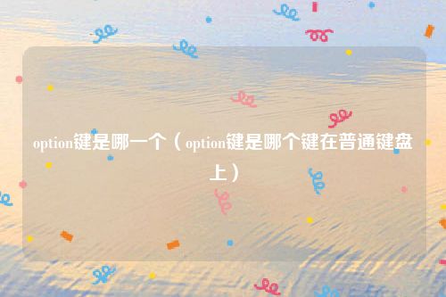 option键是哪一个（option键是哪个键在普通键盘上）