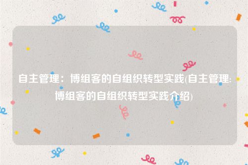 自主管理：博组客的自组织转型实践(自主管理:博组客的自组织转型实践介绍)