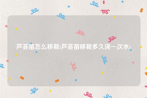芦荟苗怎么移栽(芦荟苗移栽多久浇一次水)