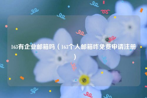163有企业邮箱吗（163个人邮箱咋免费申请注册）