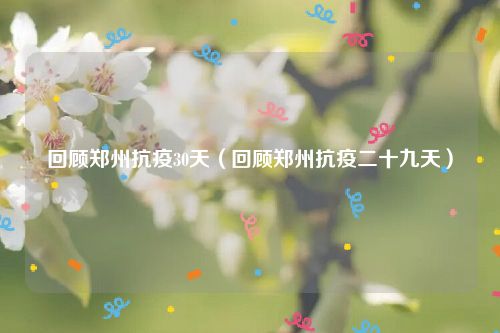 回顾郑州抗疫30天（回顾郑州抗疫二十九天）