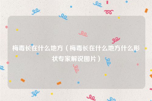 梅毒长在什么地方（梅毒长在什么地方什么形状专家解说图片）
