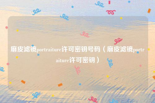 磨皮滤镜portraiture许可密钥号码（磨皮滤镜portraiture许可密钥）