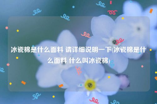 冰瓷棉是什么面料 请详细说明一下(冰瓷棉是什么面料 什么叫冰瓷棉)