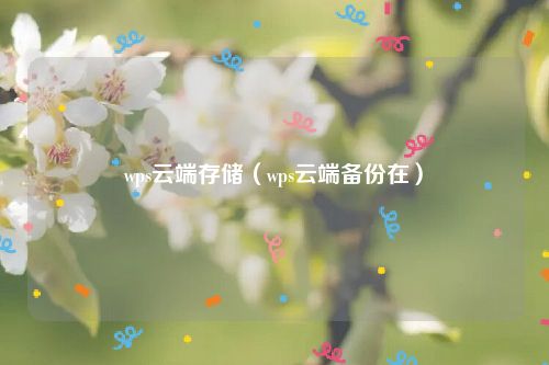 wps云端存储（wps云端备份在）