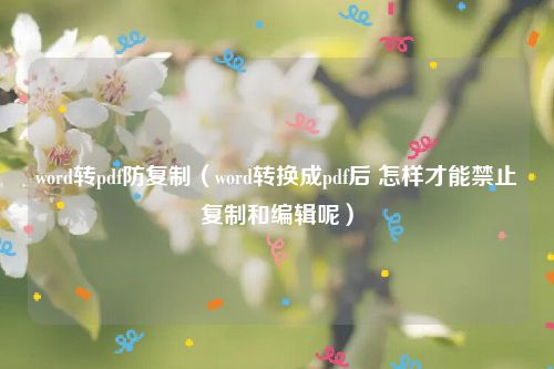 word转pdf防复制（word转换成pdf后 怎样才能禁止复制和编辑呢）