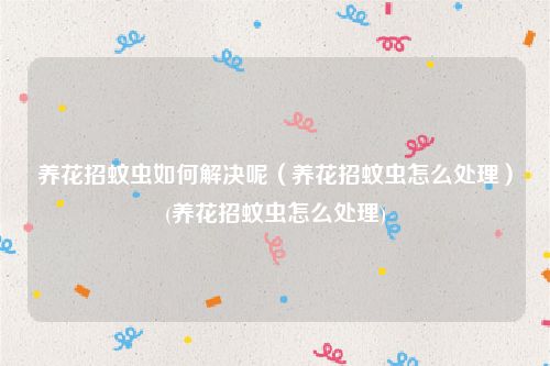 养花招蚊虫如何解决呢（养花招蚊虫怎么处理）(养花招蚊虫怎么处理)