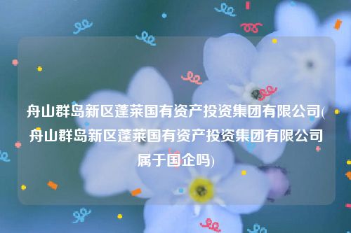 舟山群岛新区蓬莱国有资产投资集团有限公司(舟山群岛新区蓬莱国有资产投资集团有限公司属于国企吗)