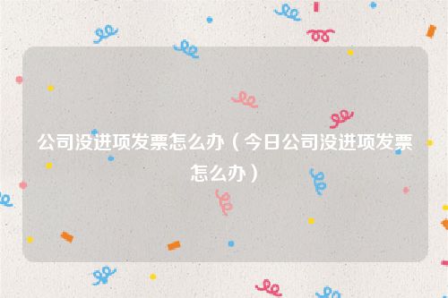 公司没进项发票怎么办（今日公司没进项发票怎么办）