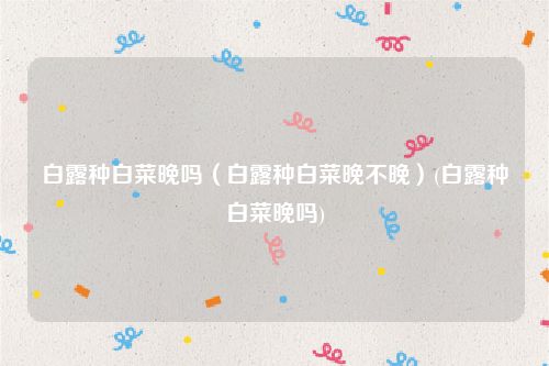 白露种白菜晚吗（白露种白菜晚不晚）(白露种白菜晚吗)