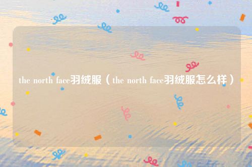 the north face羽绒服（the north face羽绒服怎么样）