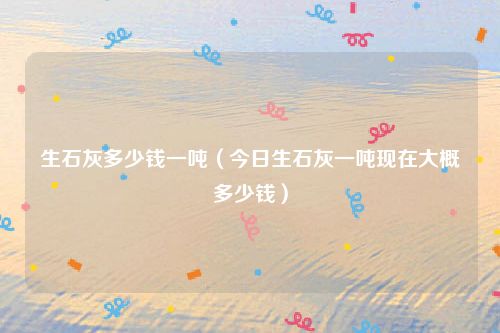 生石灰多少钱一吨（今日生石灰一吨现在大概多少钱）