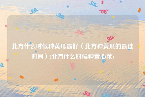 北方什么时候种黄瓜最好（北方种黄瓜的最佳时间）(北方什么时候种黄心莱)