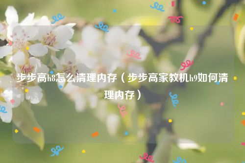 步步高h8怎么清理内存（步步高家教机h9如何清理内存）